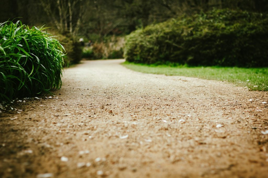 creative-dummy-llc-QTcoR27b-TI-unsplash